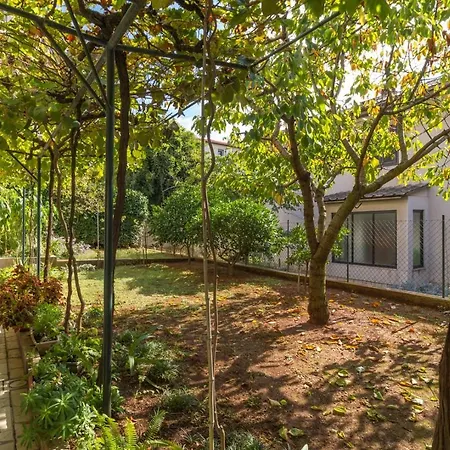 Guest house Perka Near 3*